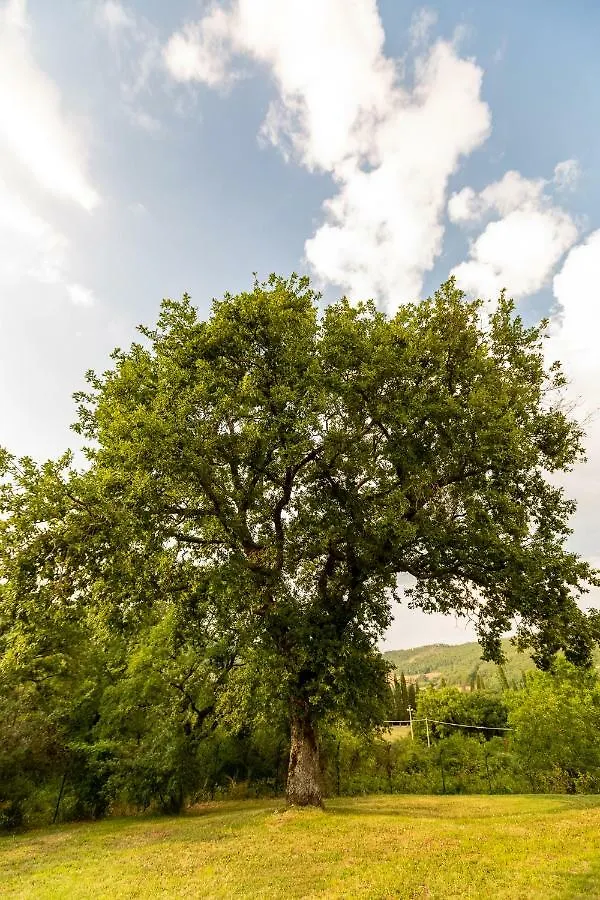 Casa Gabry Βίλα Sarteano 0*,  Ιταλία